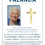 PALANCA LIDIA